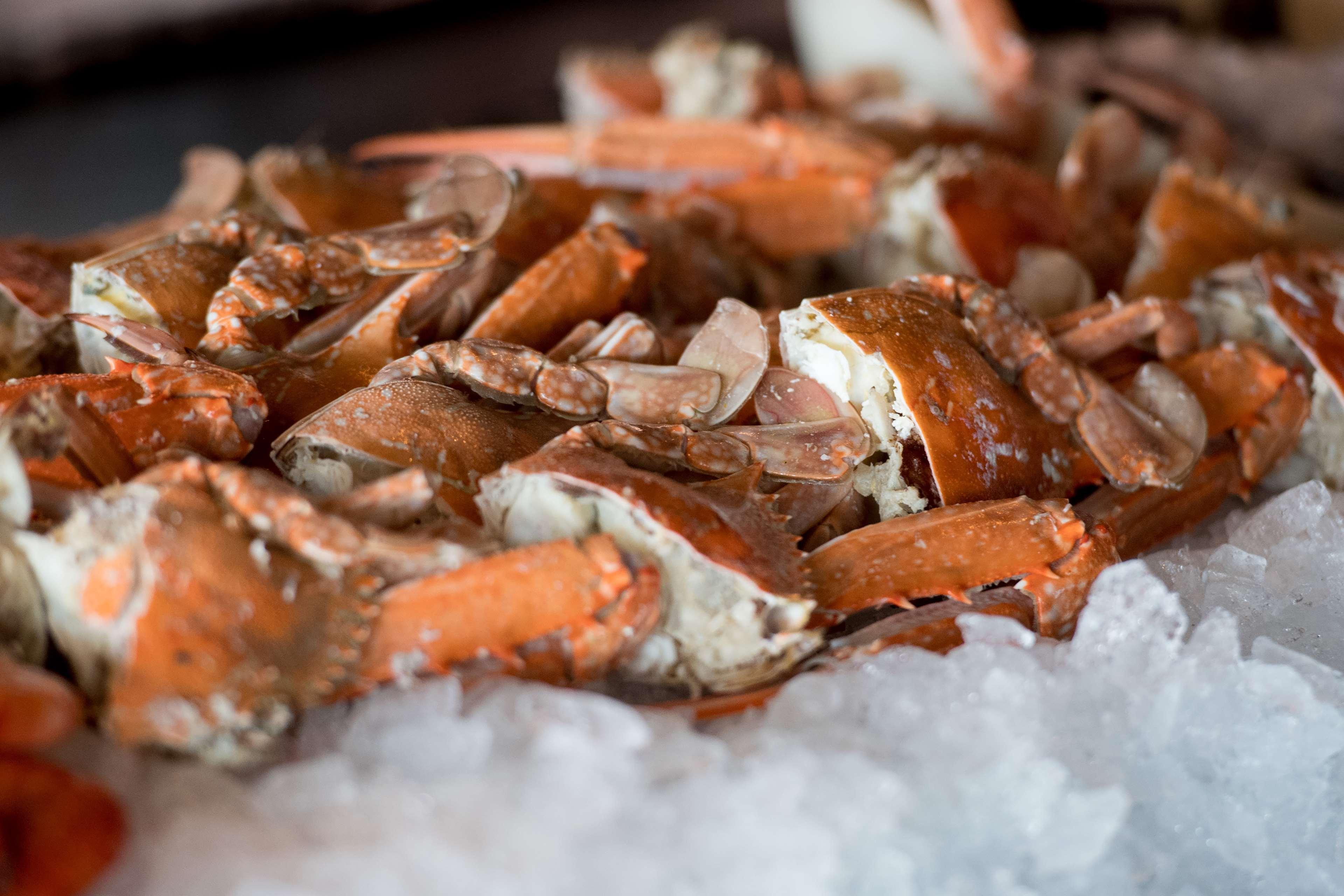 Hyatt Regency Sydney Hotel Eksteriør billede Cooked crab legs
