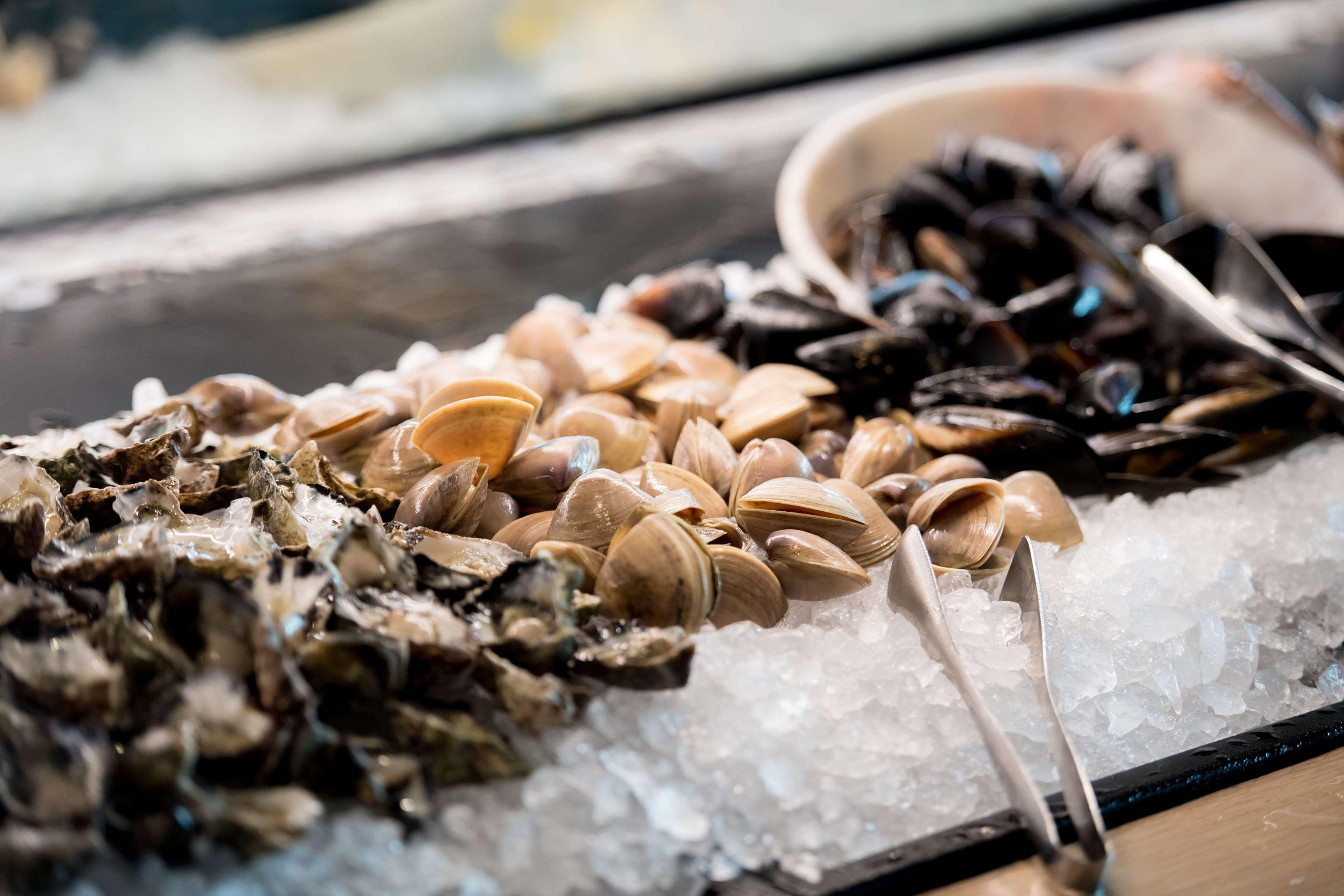 Hyatt Regency Sydney Hotel Eksteriør billede Fresh seafood at the market